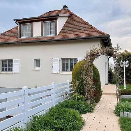 Le Papillon,Logement Cosy En Alsace Erstein Esterno foto