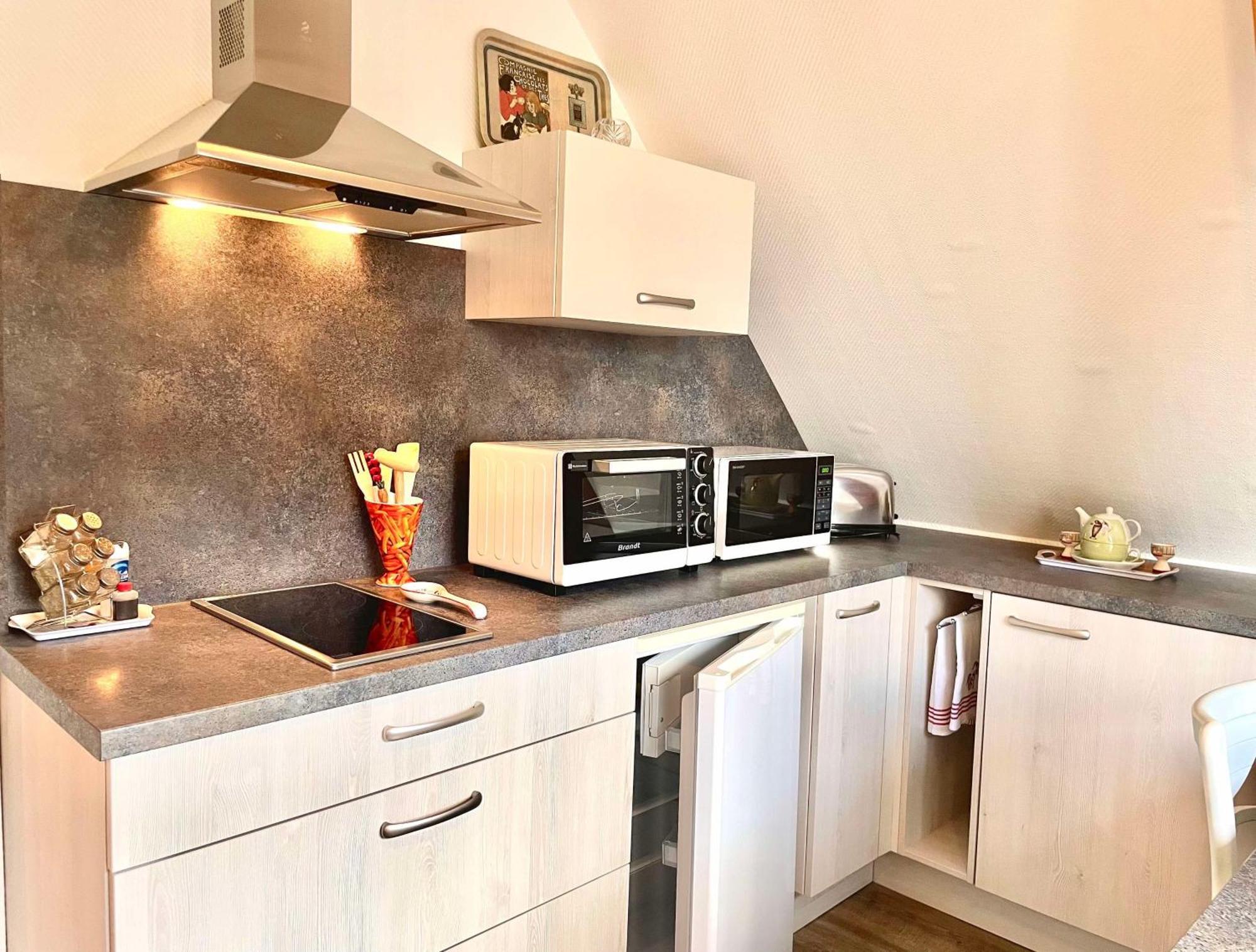 Le Papillon,Logement Cosy En Alsace Erstein Esterno foto